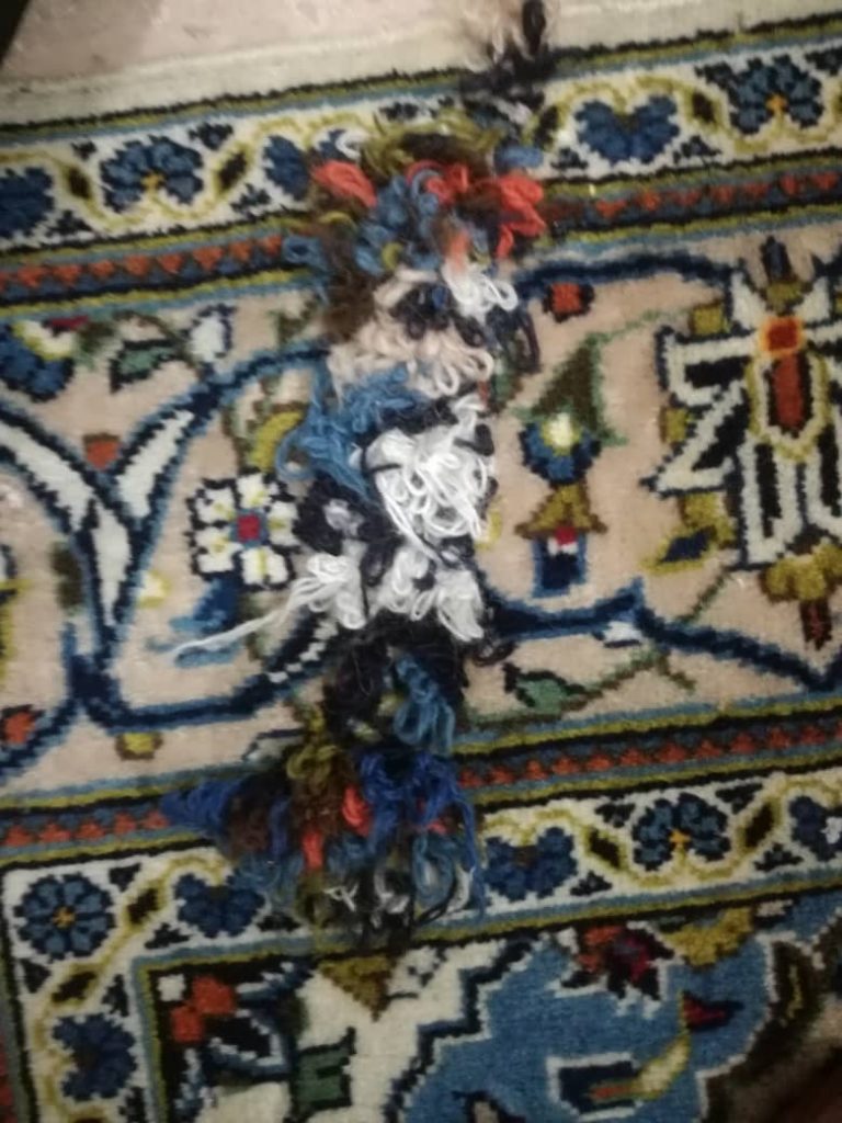 قالیشویی بی نظیر - رفوگری فرش مجاز و خوب در کرج - رفوگری فرش بی نظیر کرج یکی از معتبر ترین و با کیفیت ترین مجموعه رفوگری های مجاز کرج