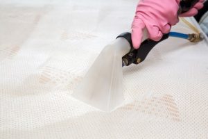 قالیشویی بی نظیر - بخارشویی تشک و خوشخواب در محل در گرمدره - ارائه کلیه خدمات شست و شو، بخارشویی و نانو شویی انواع تشک ها و خوشخواب ها